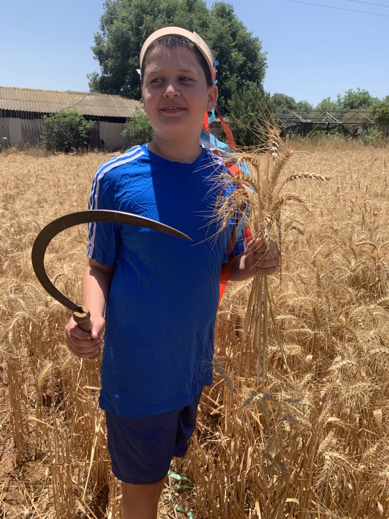 פרויקט מיוחד: מה ילדים חושבים על מסכים? פרויקט מיוחד: מה ילדים חושבים על מסכים?