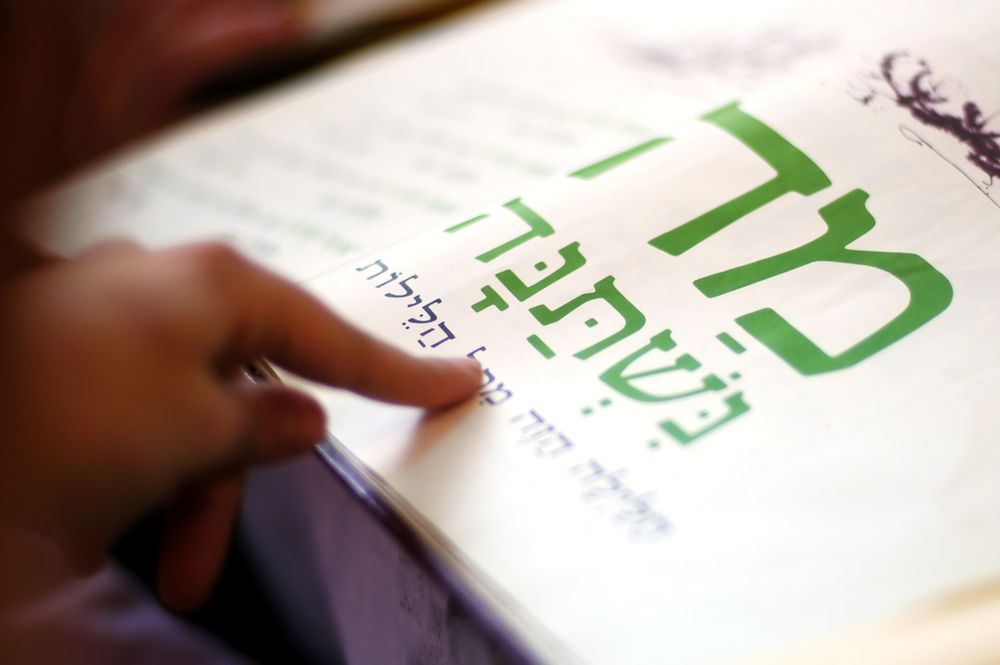 הגדה אלטרנטיבית – גם זו בחירה הגדה אלטרנטיבית – גם זו בחירה